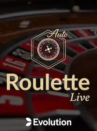 Roulette Live at L336 COM
